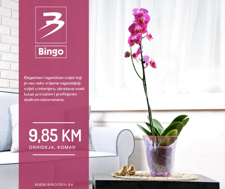 BINGO Akcija April i Maj 2022 super ponuda 29.4. 4.5.2022 1