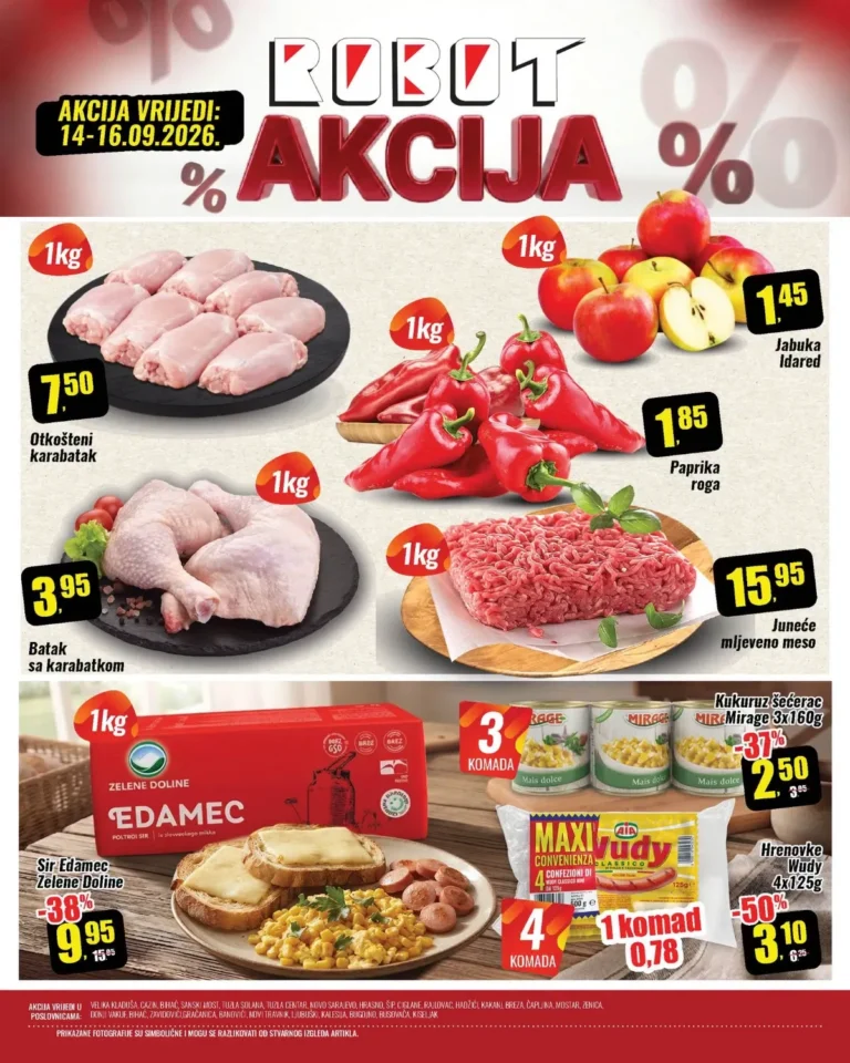 Robot katalog, korica
