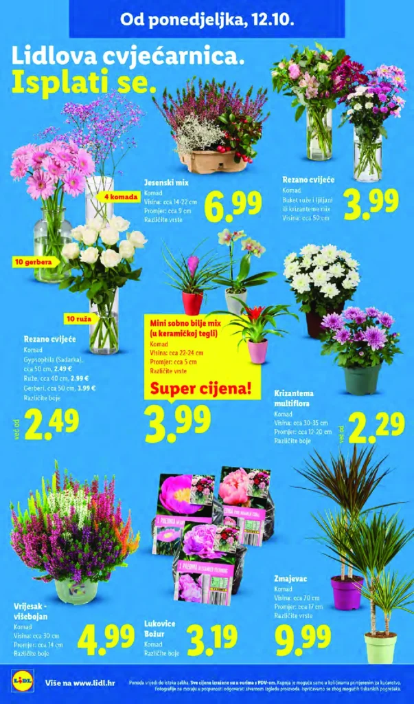 Lidl Hrvatska katalog, strana 36