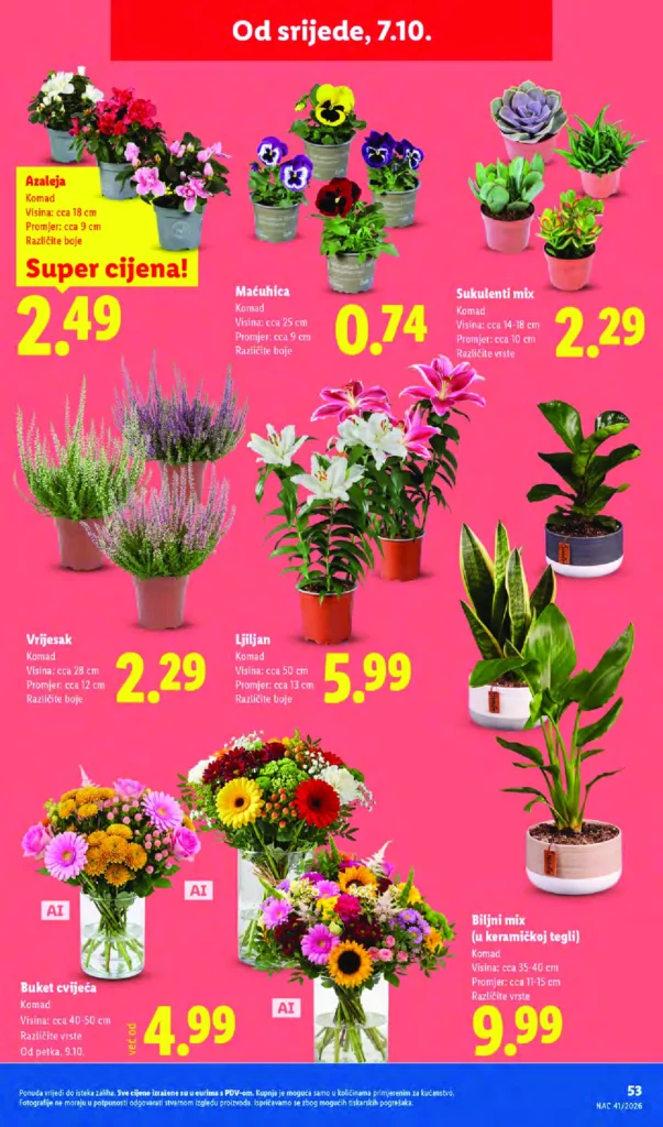 Lidl Hrvatska katalog, strana 53