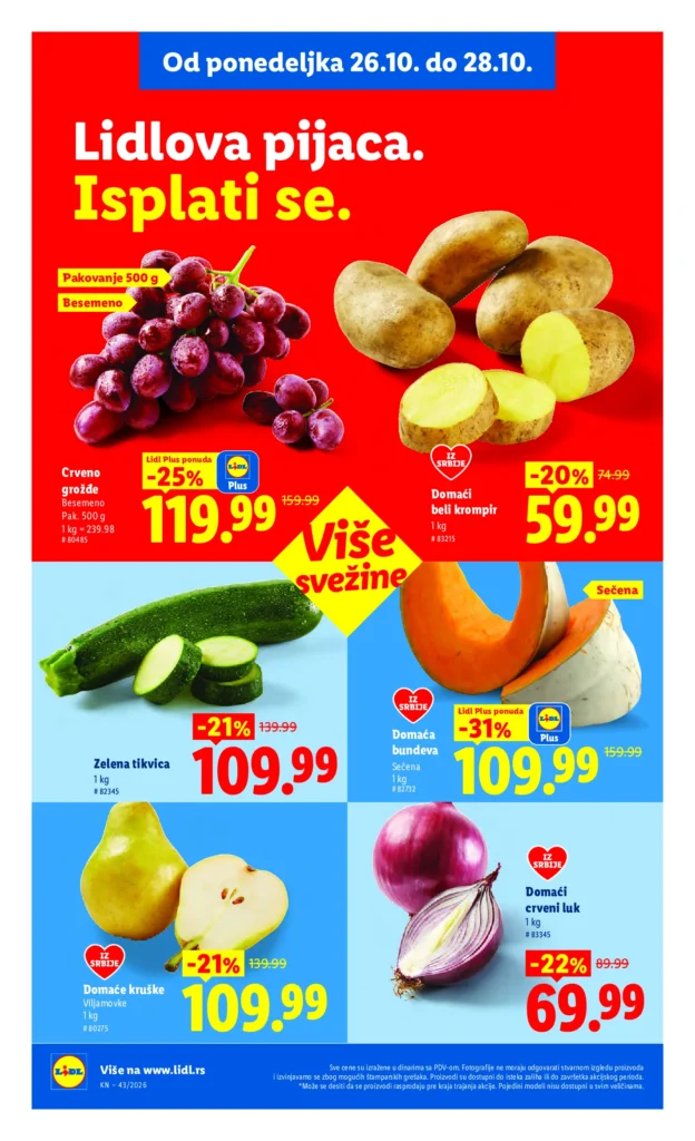 Lidl Srbija katalog, strana 100