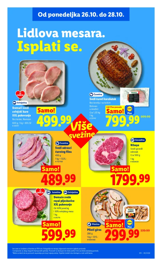 Lidl Srbija katalog, strana 101
