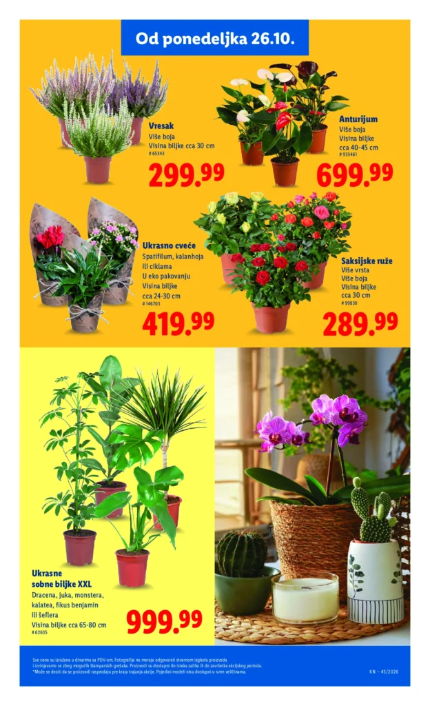 Lidl Srbija katalog, strana 71
