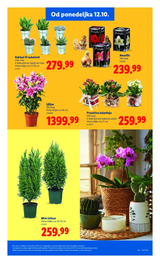 Lidl Srbija katalog, strana 73
