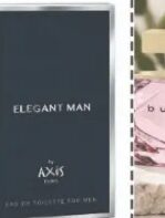 Axis Elegant Man muški EDT 100 ml, Didaco