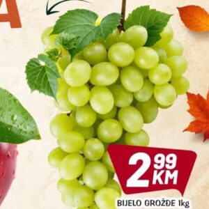 BIJELO GROŽĐE kg, Kort