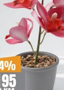 Brait Eterično ulje Magic Flower Lotus/Rose 75 ml, Bingo