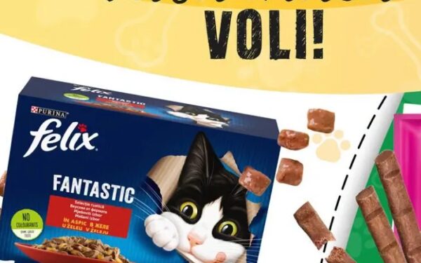 Felix Hrana za mačke Govedina 12x85 g