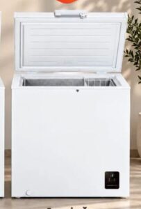 Gorenje FH20E6W5 zamrzivač