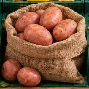 Krompir Desire Glamoč 10kg, Fortuna