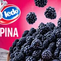 Ledo kupina 400 g, Fortuna