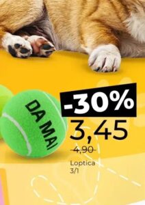 Loptica 3/1, Bingo