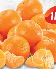 Mandarina kg, Robot