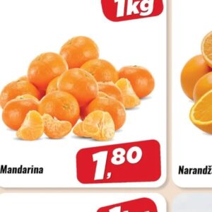 Mandarina kg, Robot