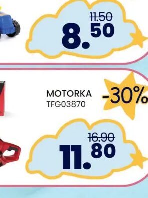 Motorka TFG03870