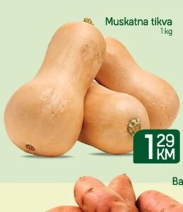 Muskatna tikva kg, Tropic