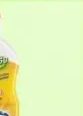 Sanitar sredstvo za čišćenje 750 ml, FIS