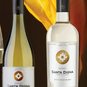 Santa Digna Chardonnay suho bijelo vino 0,75 l, Konzum i Mercator