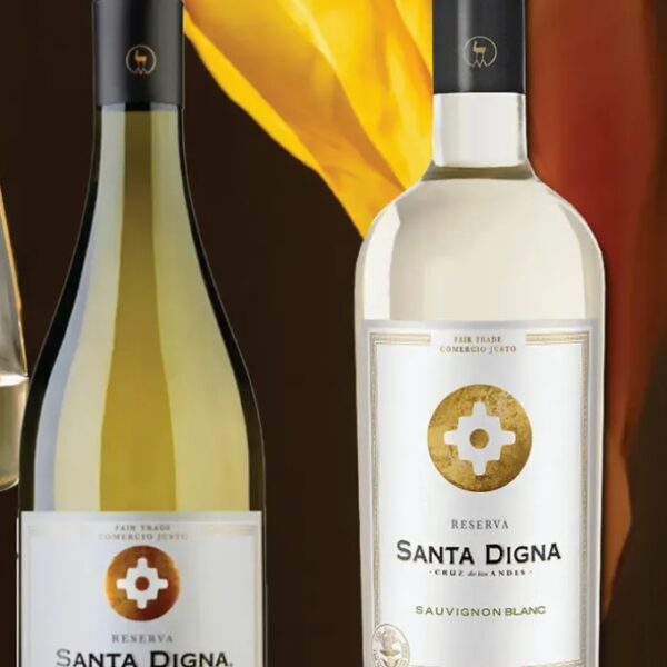 Santa Digna Chardonnay suho bijelo vino 0,75 l