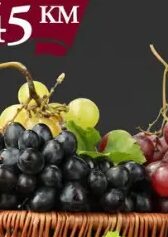 Vino Blatina 0,75 l, Namex